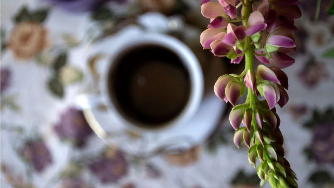 Great for keen gardeners and keen coffee drinkers: lupins
