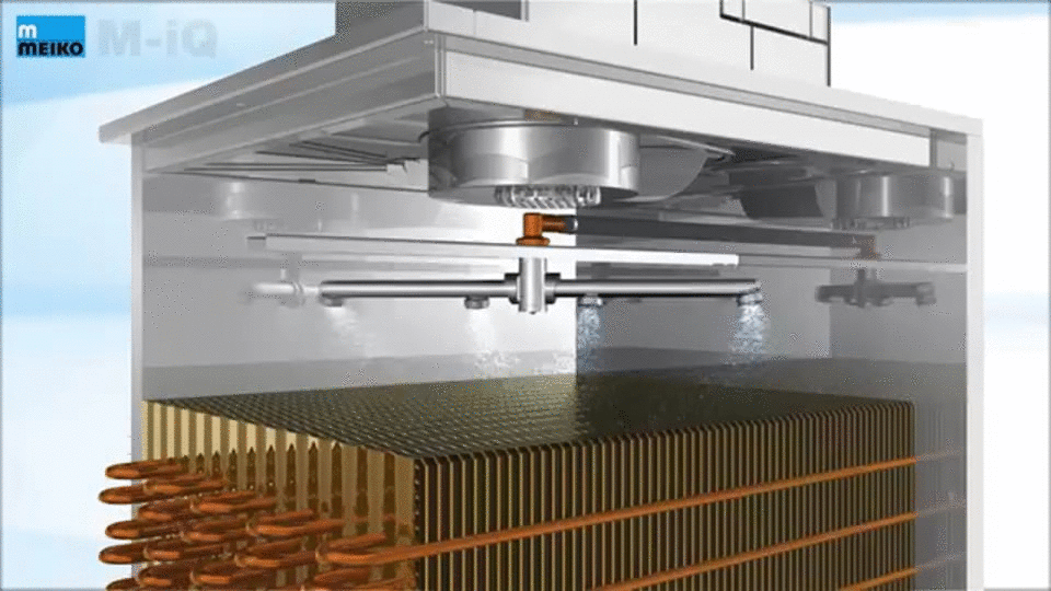M-iQ Selbstreinigung Meiko