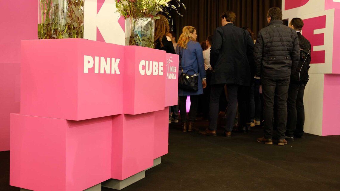 Trend-Treffpunkt Pink Cube Trend-Treffpunkt Pink Cube