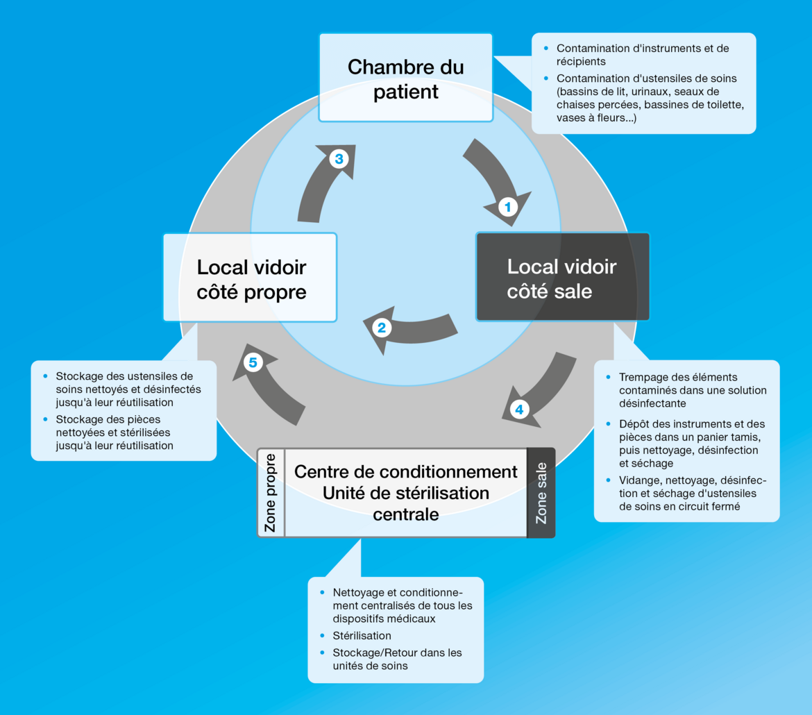 Petit et grand cycle de l’hygiène