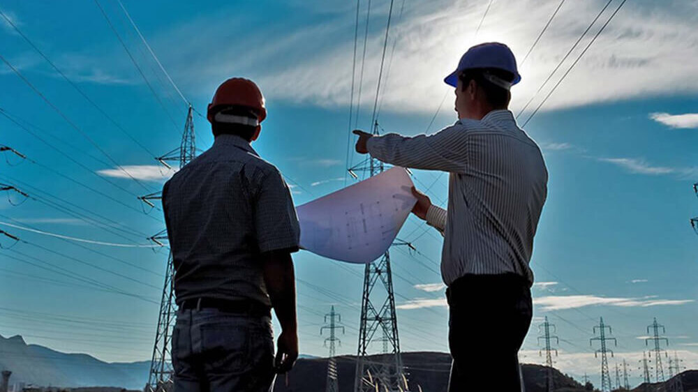 Professionisti verdi in Italia