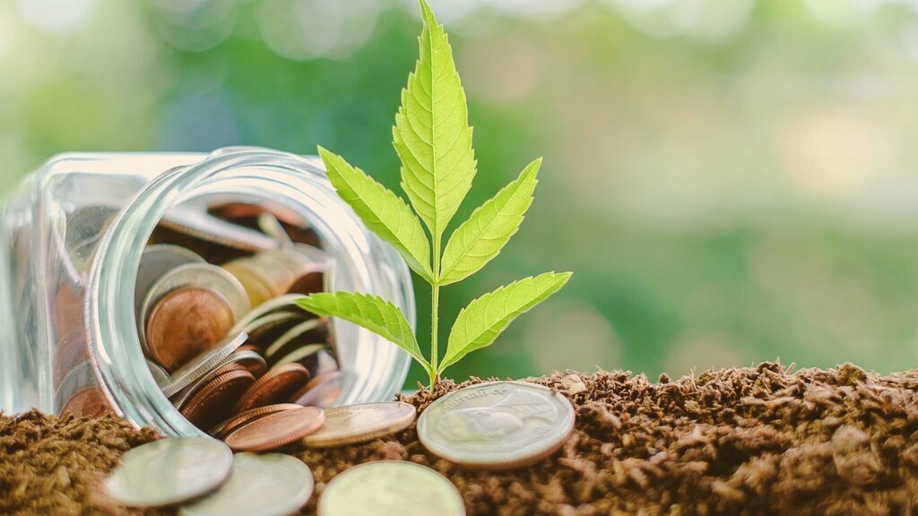 Growing sustainability with MEIKO MEIKO SEA supports sustainability