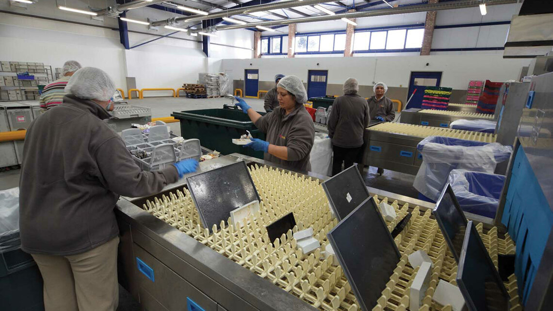 Bandtransport-Spülmaschine für Airline Catering