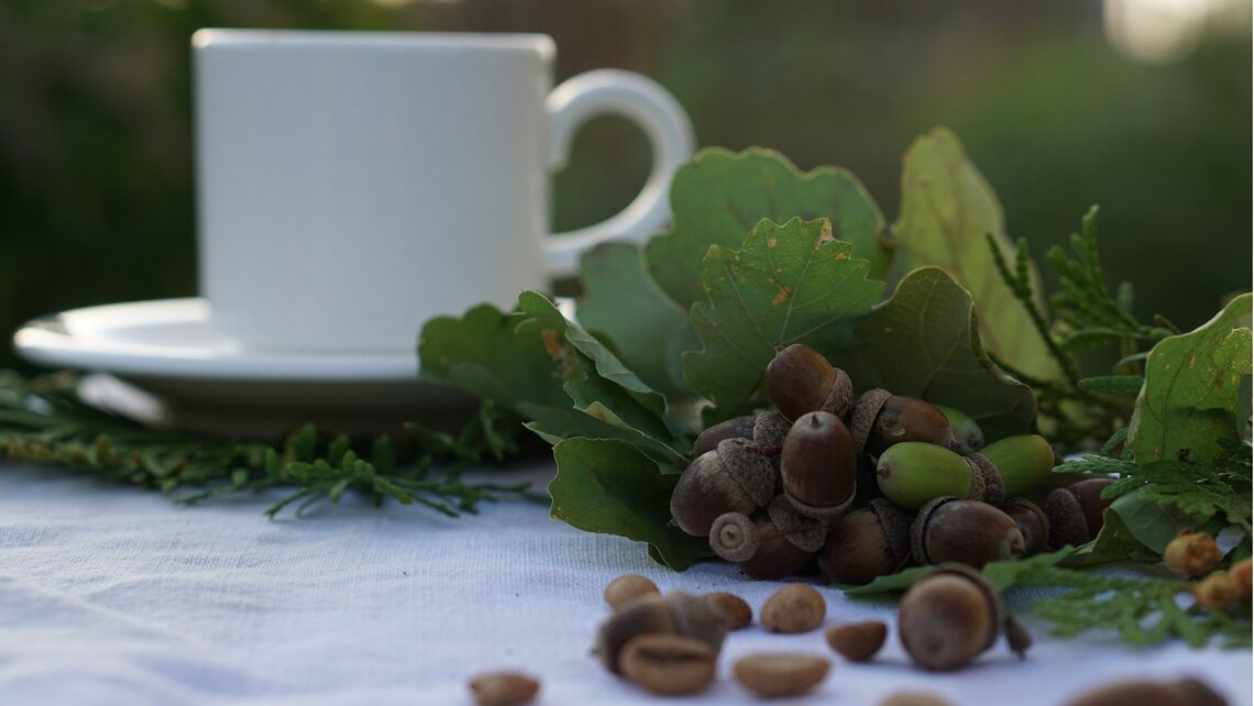 Cup of coffee on a table adorned with coffee beans and acorns